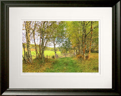 Other - Autumn at Birch Lane Frame Black Moulded 60x47.5