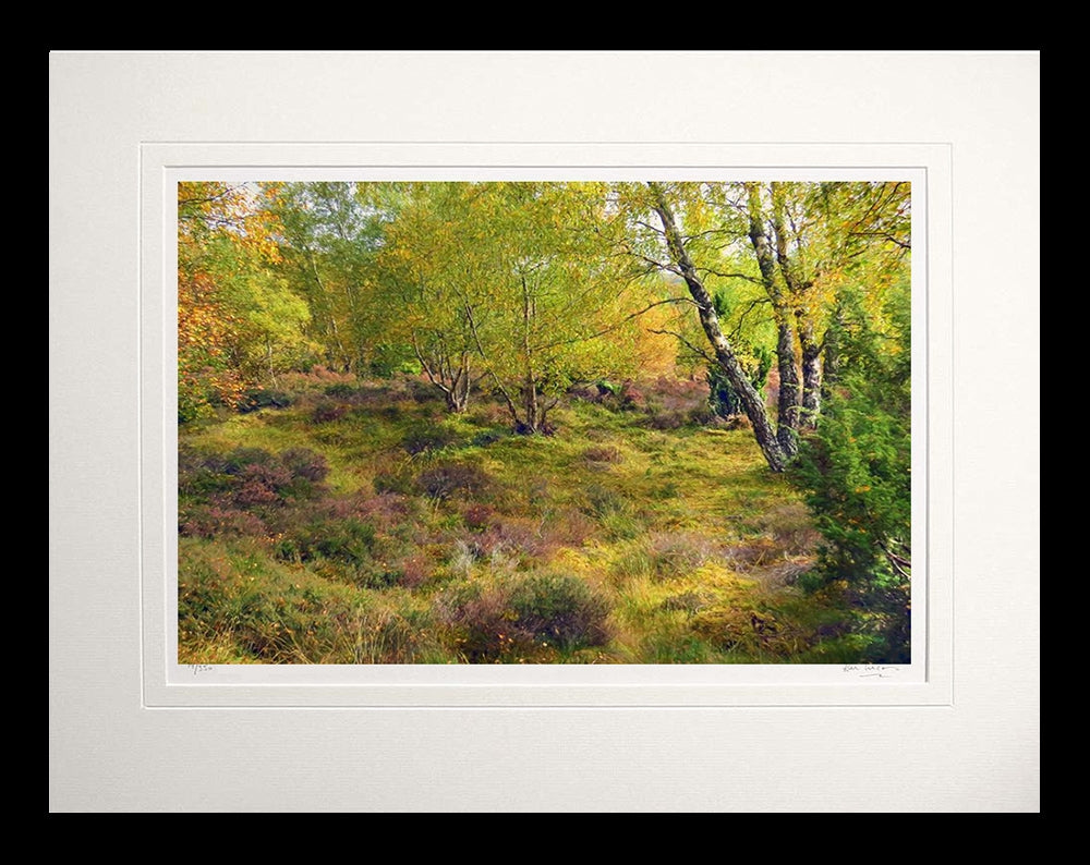 Other - Autumn Forest's Edge Flat Black Frame 60x47.5