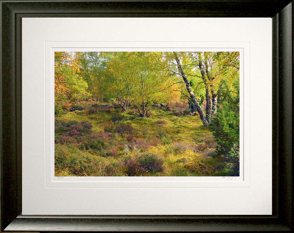 Other - Autumn Forest's Edge Frame Black Moulded 60x47.5