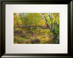 Other - Autumn Forest's Edge Frame Black Moulded 60x47.5