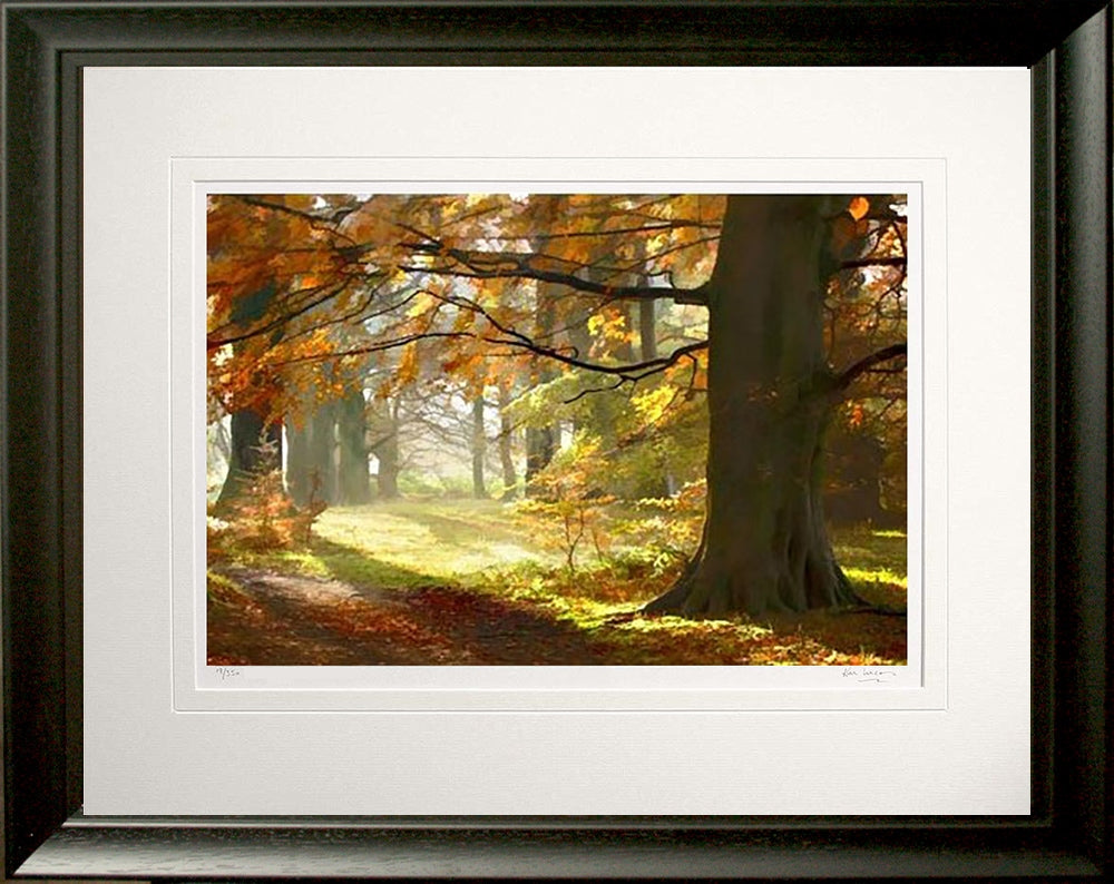 Co Down - Autumn Glade Clandeboye Frame Black Moulded 60x47.5