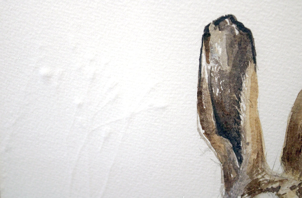 Original - Autumn Hare