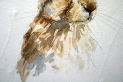 Original - Autumn Hare