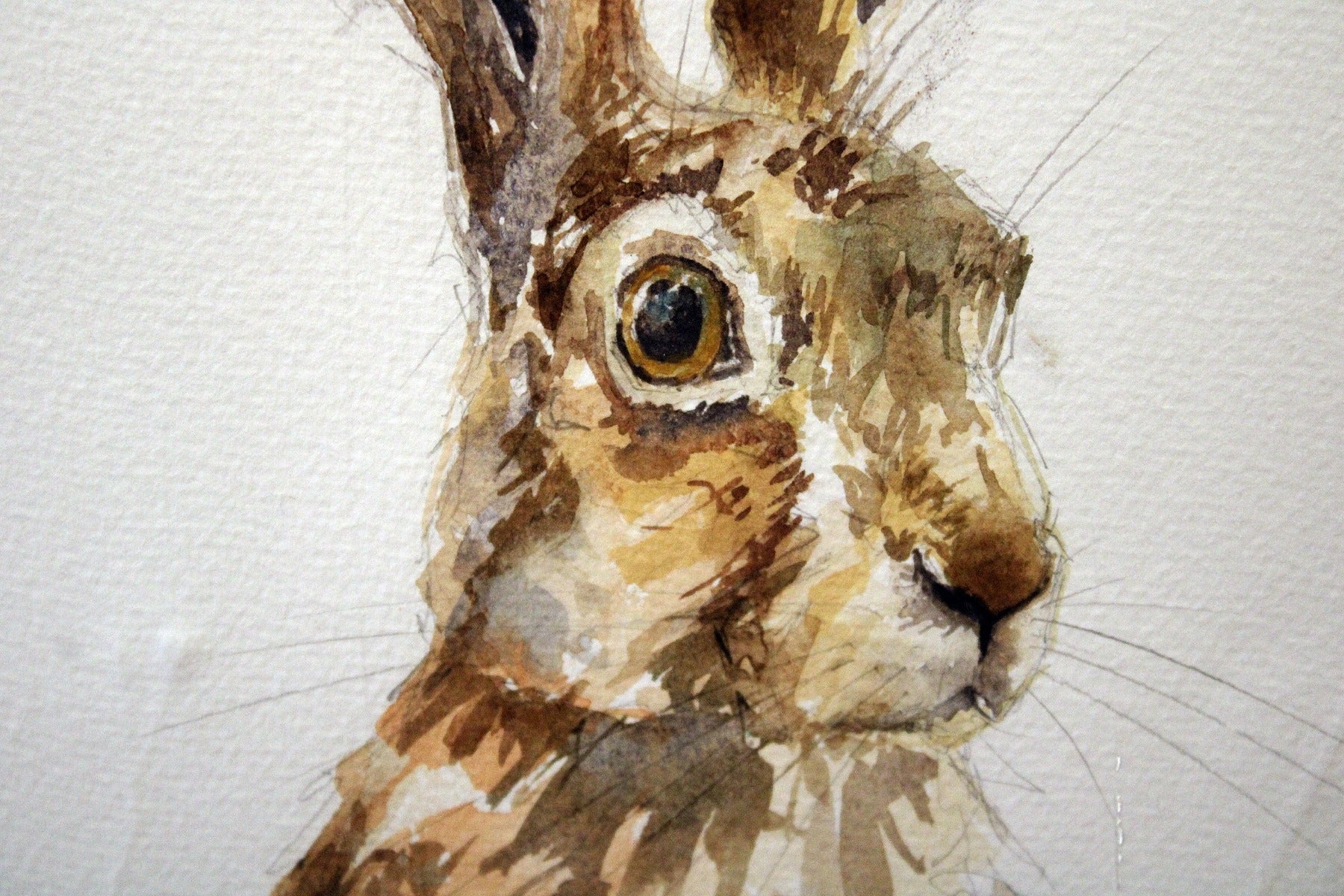 Original - Autumn Hare