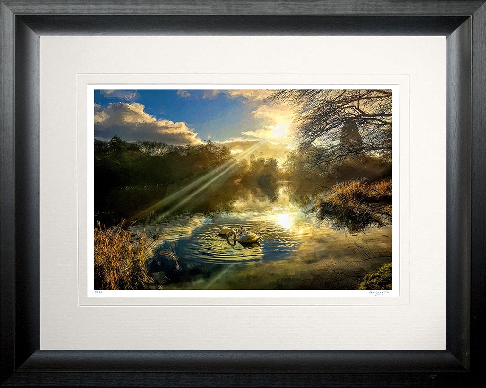 Co Down - Autumn Mist, Mount Stewart Chunky Black Frame