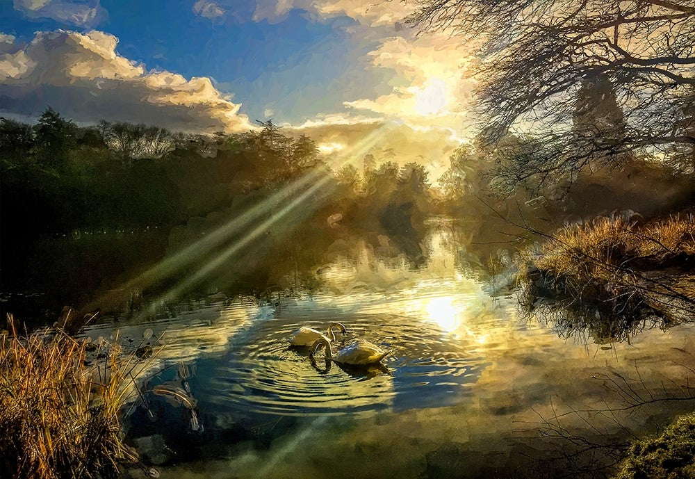 Co Down - Autumn Mist, Mount Stewart