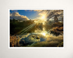 Co Down - Autumn Mist, Mount Stewart Unframed