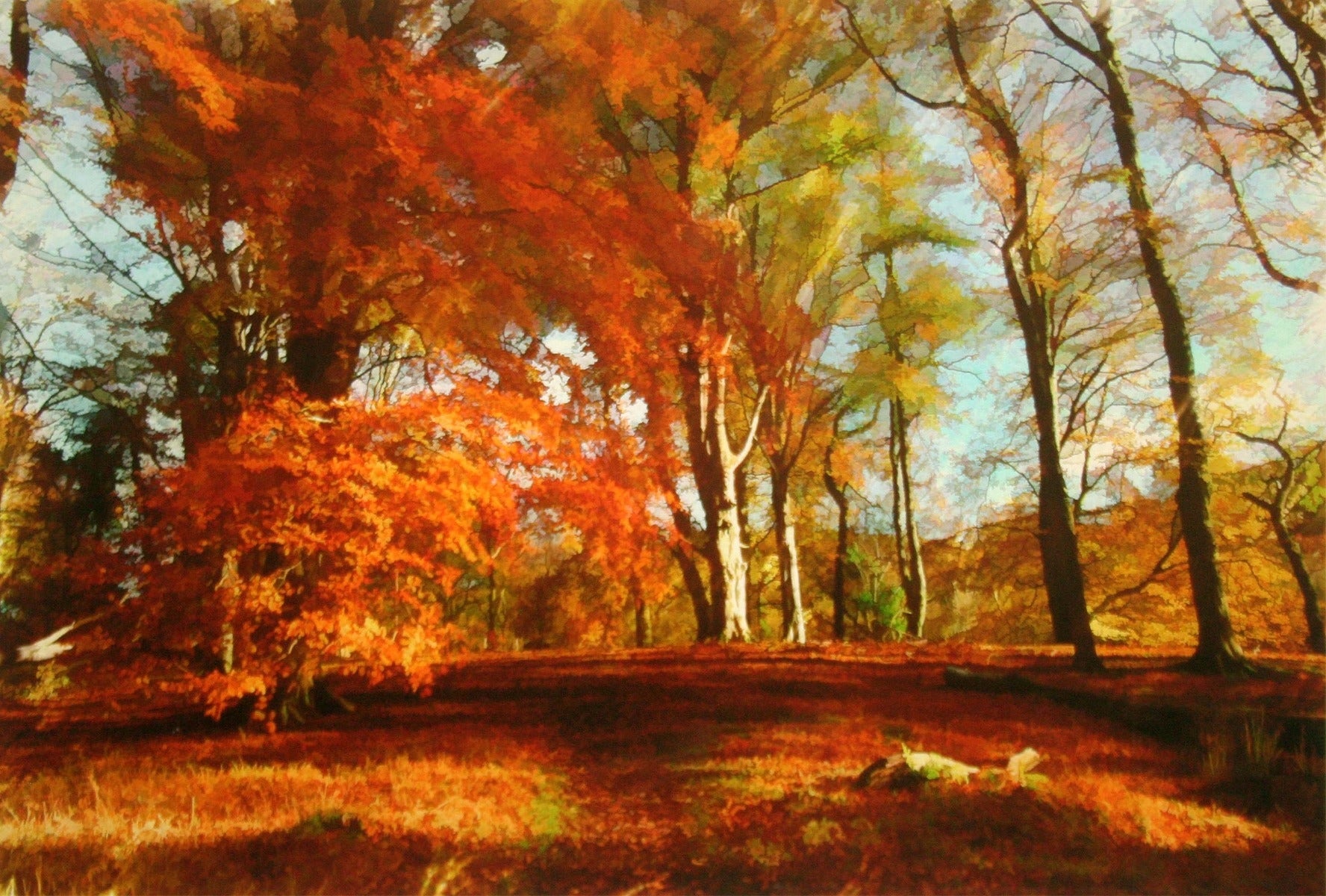 Co Down - Autumn Sun Clandeboye