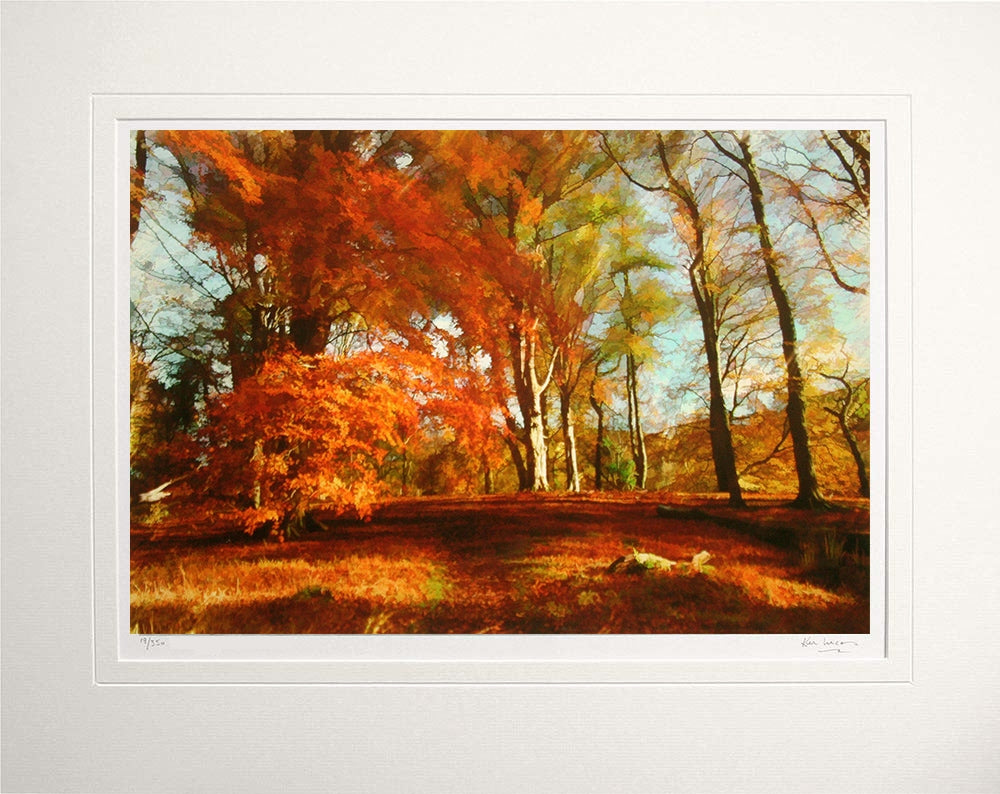 Co Down - Autumn Sun Clandeboye Unframed 60x47.5