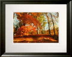 Co Down - Autumn Sun Clandeboye Frame Black Moulded 60x47.5