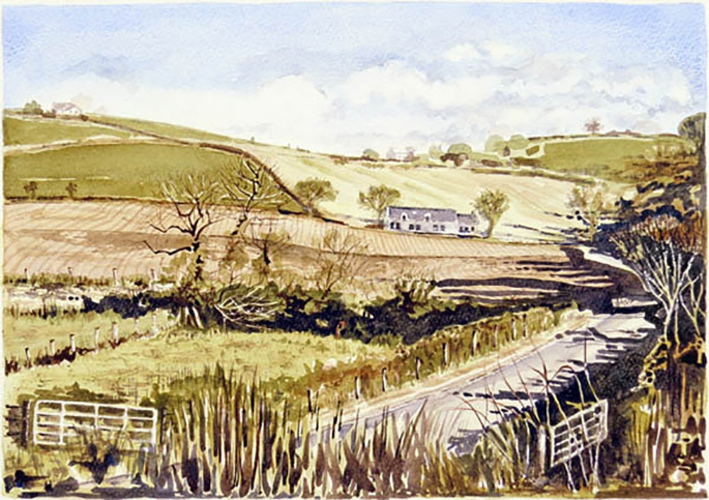 Autumn Sunshine Comber