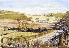 Autumn Sunshine Comber