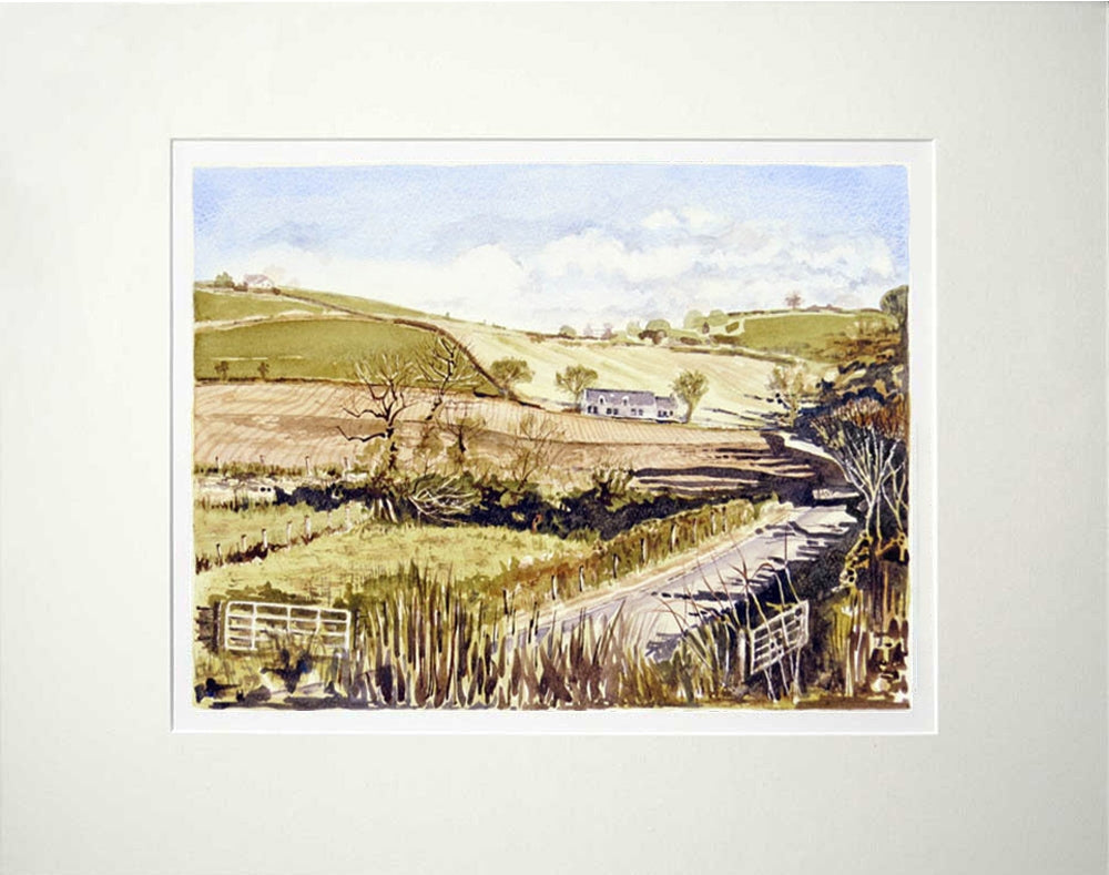 Autumn Sunshine Comber Unframed
