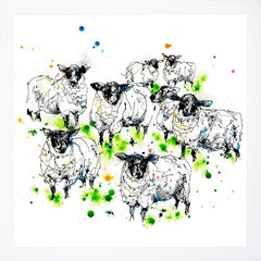 Print Open Edition Animals - Baa-30 x 30-White Box Frame (No Mount)