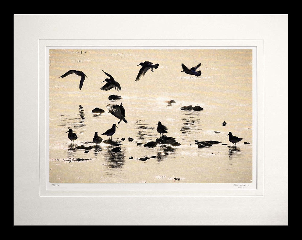 Other - Ballet in Silhouette Flat Black Frame 60x47.5