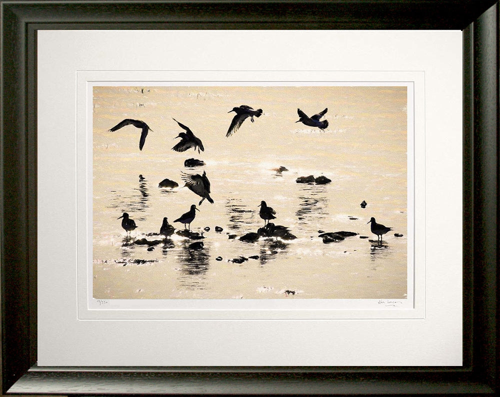 Other - Ballet in Silhouette Frame Black Moulded 60x47.5