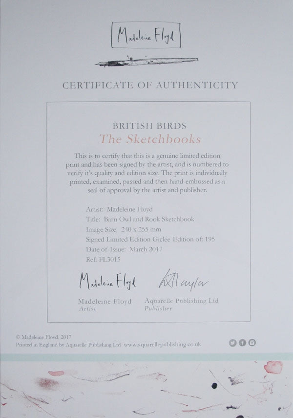 Sketchbook - Barn Owl and Rook