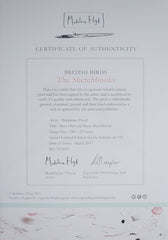 Sketchbook - Barn Owl and Rook