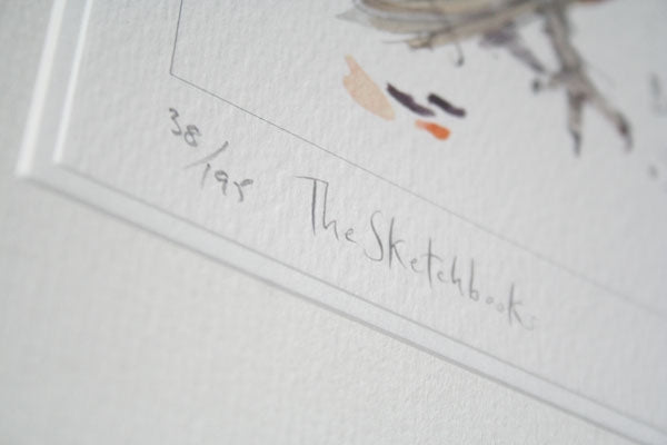 Sketchbook - Barn Owl and Rook