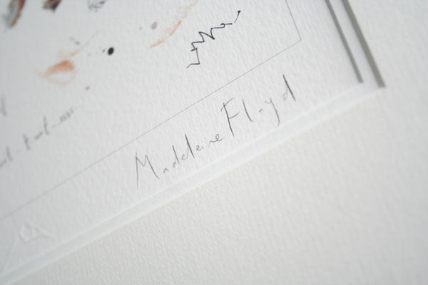 Sketchbook - Barn Owl and Rook