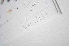 Sketchbook - Barn Owl and Rook