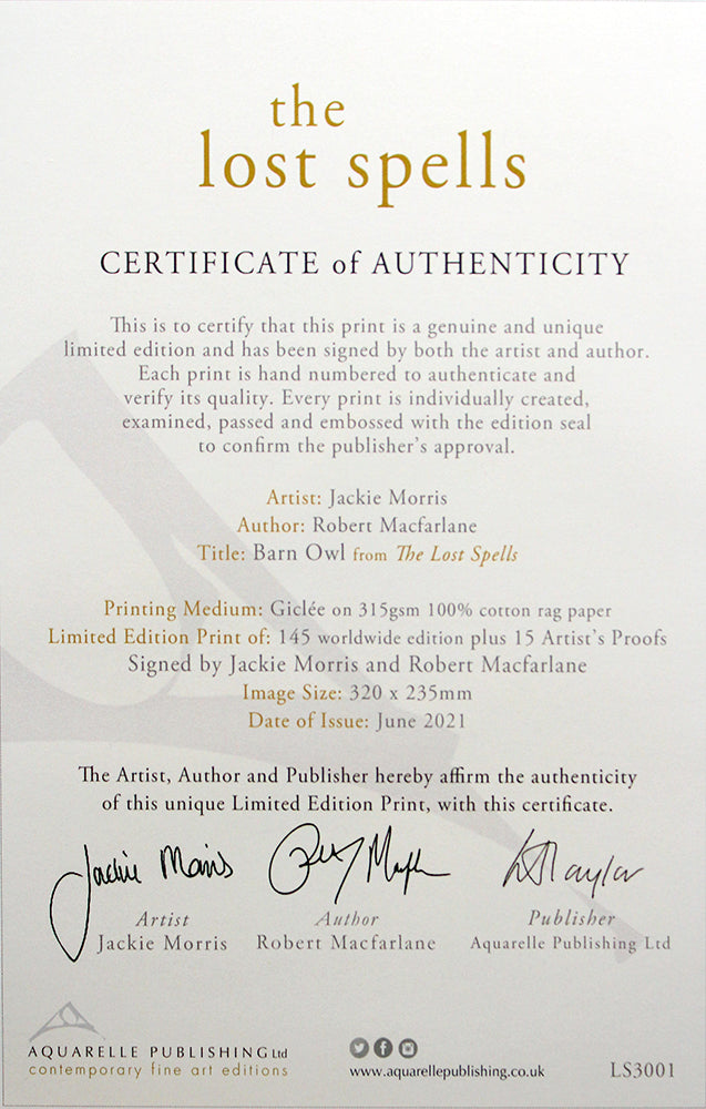 The Lost Spells - Barn Owl Artist Proof