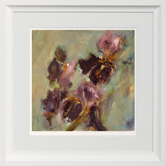 Print - Bearded Irises Framed