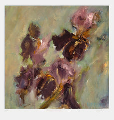 Print - Bearded Irises Unframed