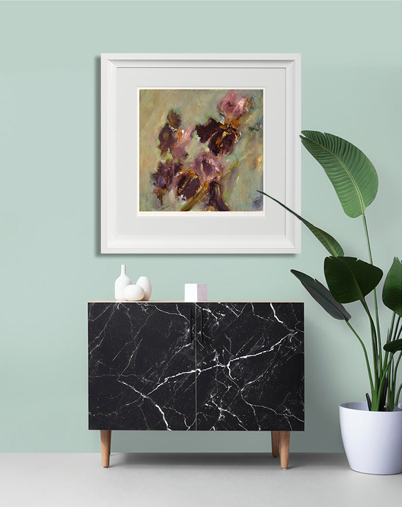 Print - Bearded Irises