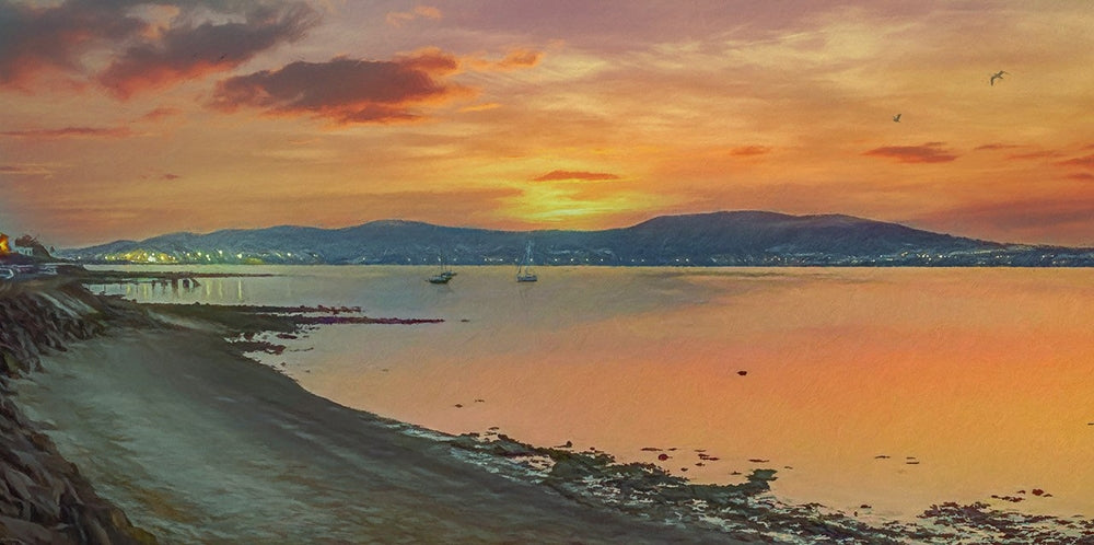 Co Down - Belfast Lights From Cultra