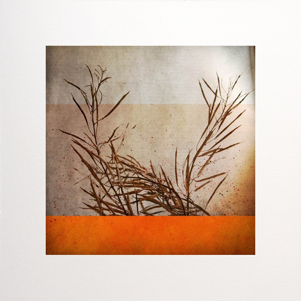 Ben Automne Unframed