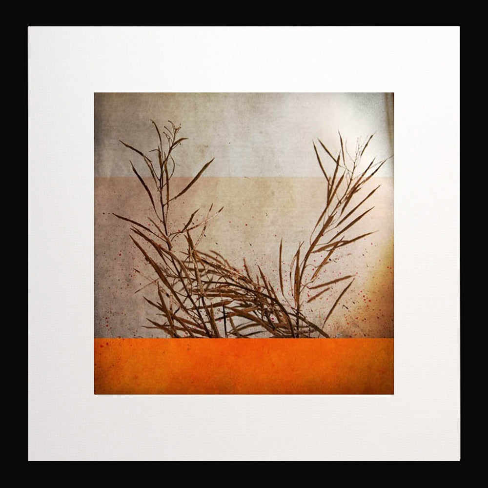 Ben Automne Black frame