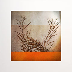 Ben Automne Unframed