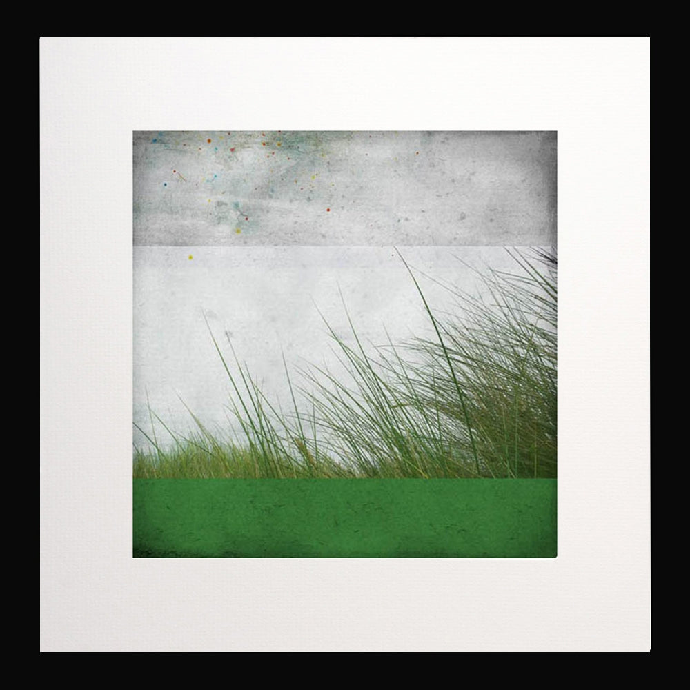 Ben Prairie Black frame