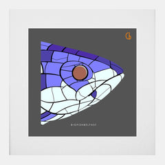 Belfast Big Fish-29 x 29-White Box Frame