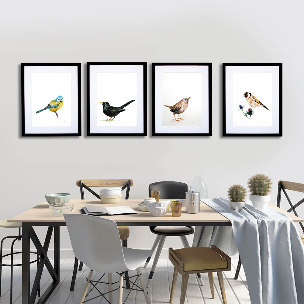 Animals Bird - Blue Tit