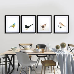 Animals Bird - Goldfinch