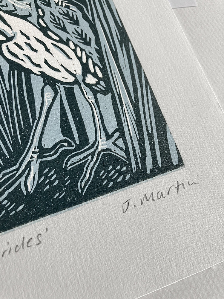 Lino Print - Bittern, Inner Hebrides