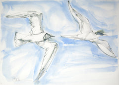 Original Other - Black Headed Gull And Tern