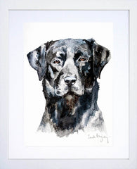 Animals Dog - Black Labrador White Frame