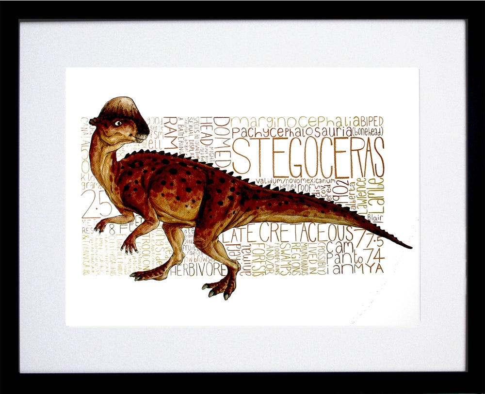 Stegoceras Black Frame