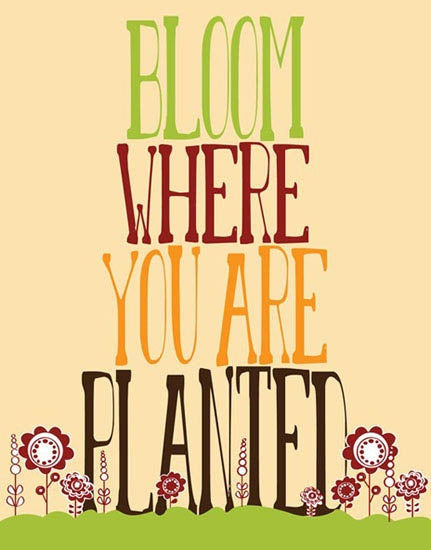 Bloom where You Are Planted