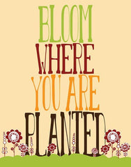 Bloom where You Are Planted