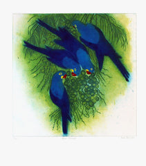Blue Macaws Unframed