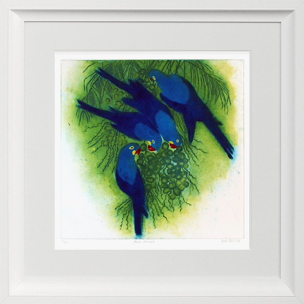 Blue Macaws Chunky White Frame