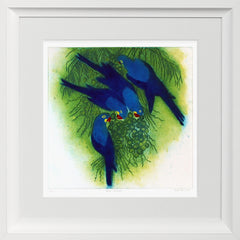 Blue Macaws Chunky White Frame