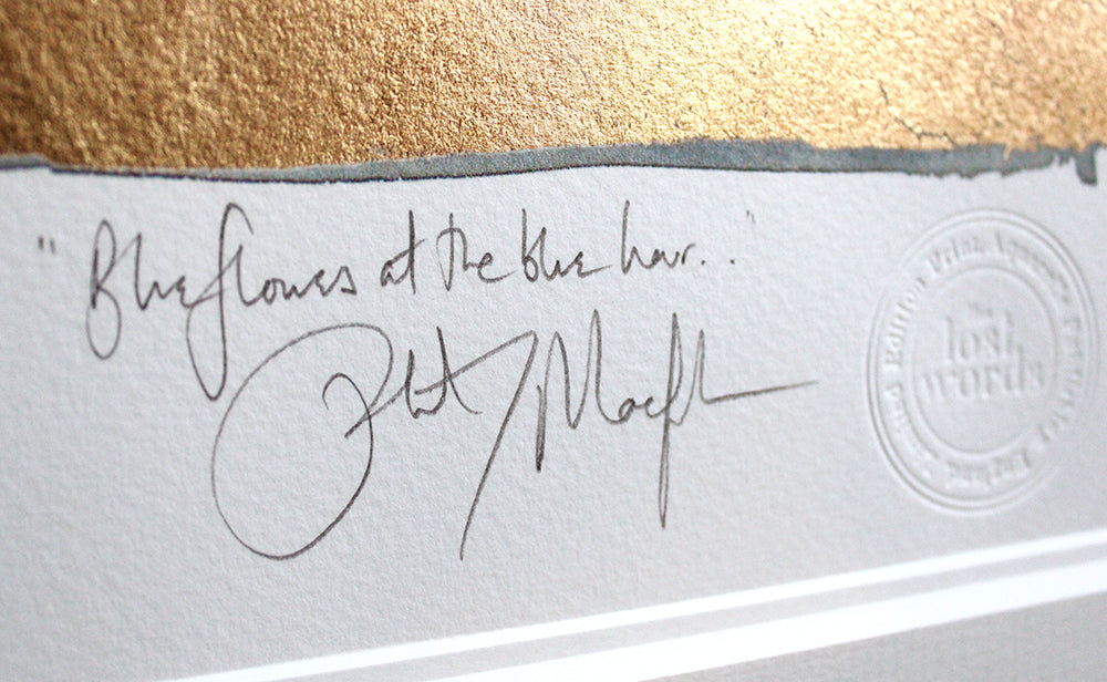 The Lost Words - Bluebell Premium Edition Artist Proof