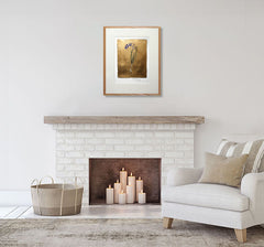 The Lost Words - Bluebell Premium Edition