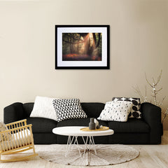 Bluebells At Sunset, Redburn Forest