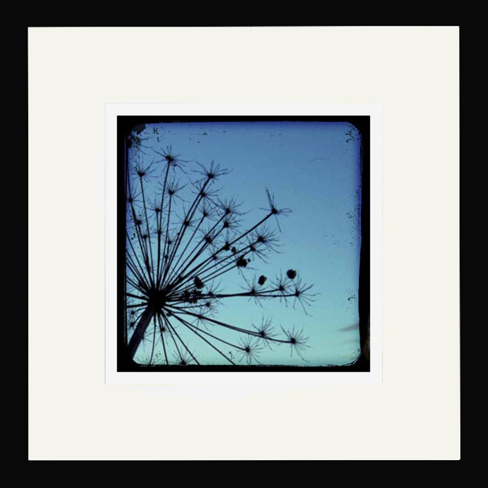 Stalks in Blue Framed